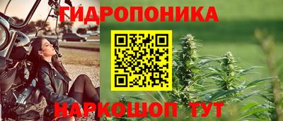 эйфоретик Пушкино