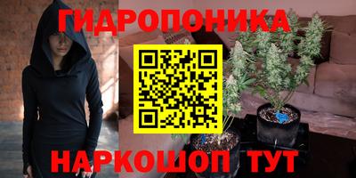 эйфоретик Пушкино